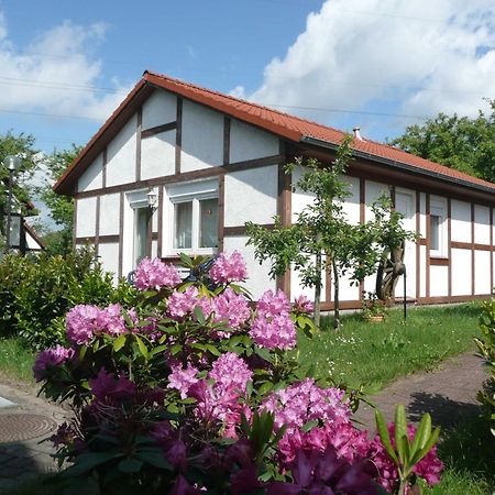 Ferienhaus Kogge Im Feriendorf Alt Bachenbrock Exterior foto